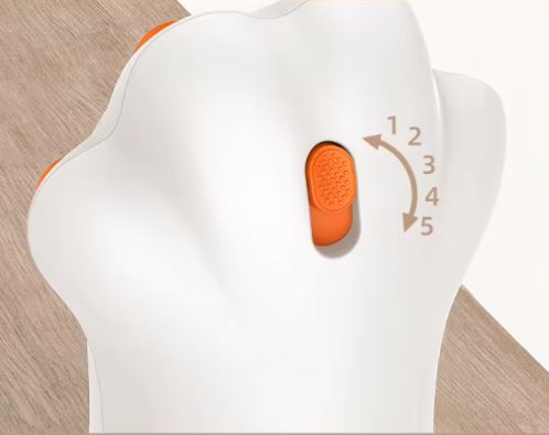 Jouets laser automatique intelligent Patte de Chat et Chien